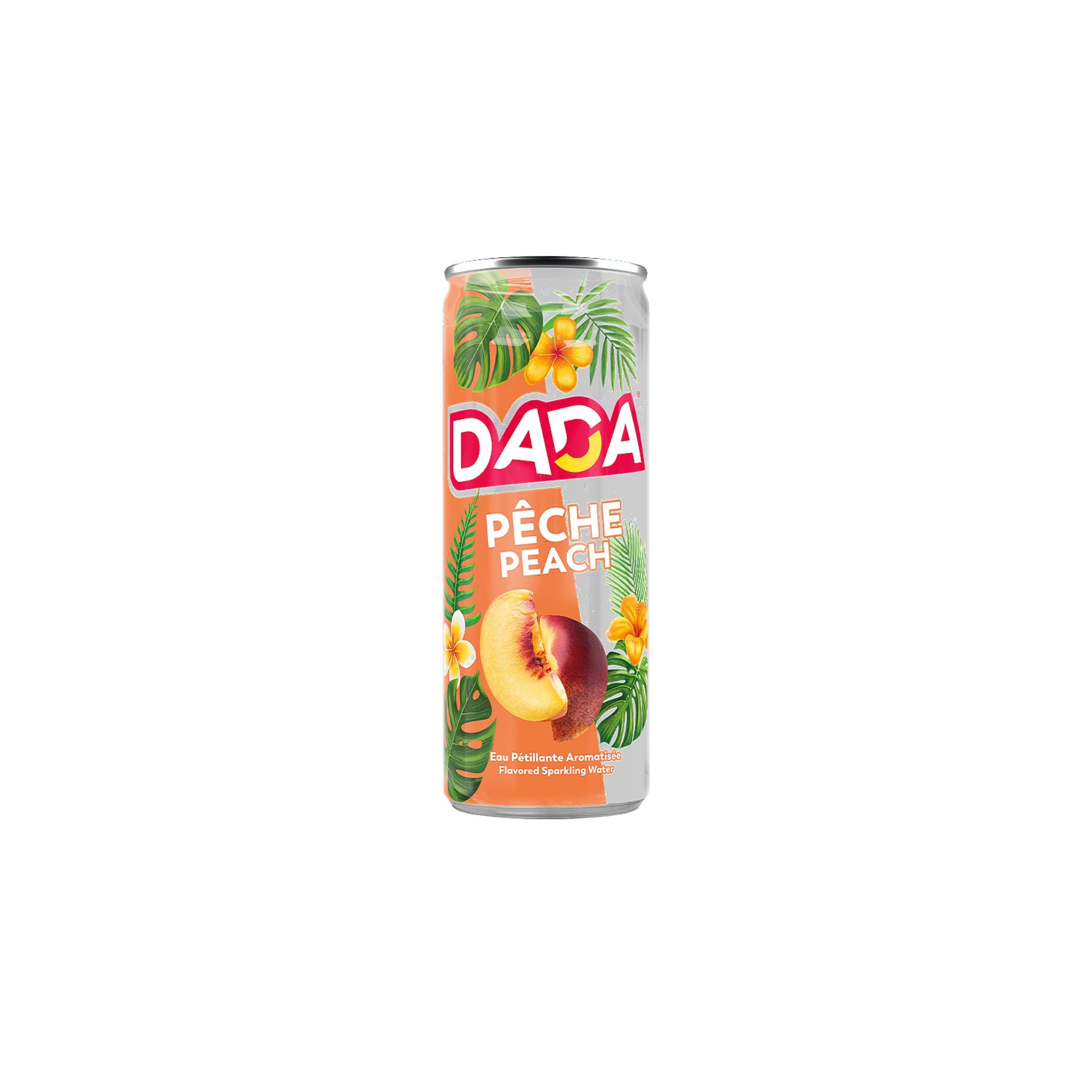 DADA Pêche - Pack 24x33cl